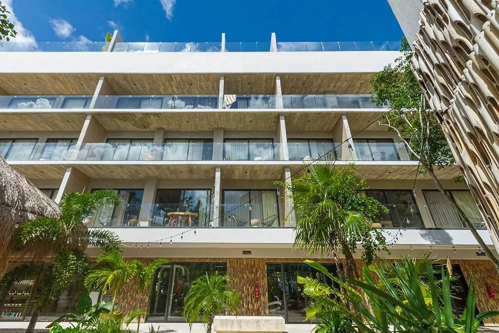 Attractive & Cosy Studio En Tulum! アパート